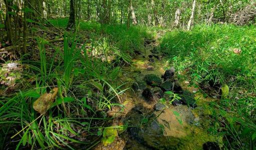 Photo #15 of SOLD property in 545 Trott Circle, Martinsville, VA 89.4 acres