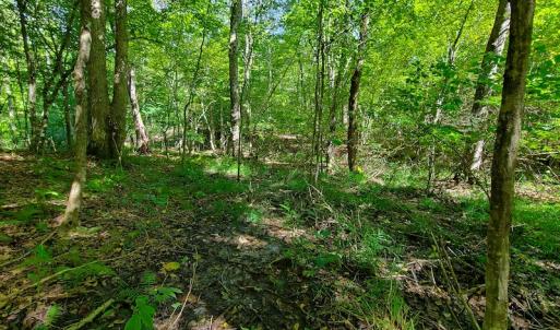 Photo #16 of SOLD property in 545 Trott Circle, Martinsville, VA 89.4 acres