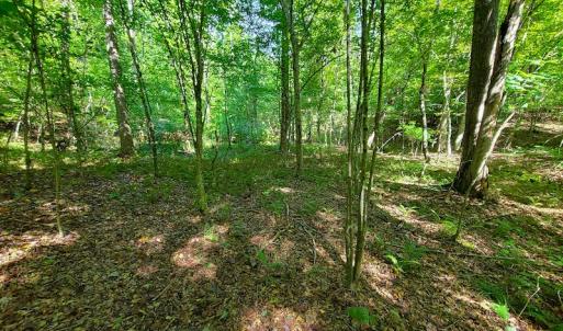 Photo #17 of SOLD property in 545 Trott Circle, Martinsville, VA 89.4 acres