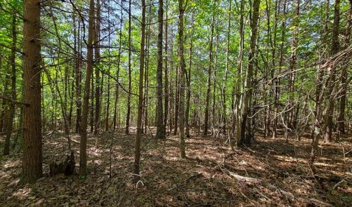 Photo #3 of SOLD property in 545 Trott Circle, Martinsville, VA 89.4 acres