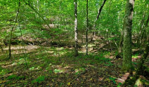 Photo #20 of SOLD property in 545 Trott Circle, Martinsville, VA 89.4 acres