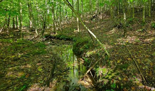 Photo #22 of SOLD property in 545 Trott Circle, Martinsville, VA 89.4 acres