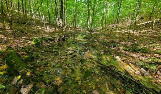 Photo #23 of SOLD property in 545 Trott Circle, Martinsville, VA 89.4 acres