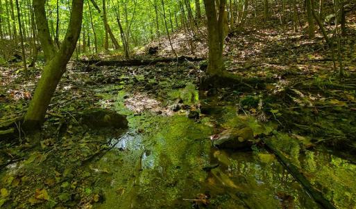 Photo #24 of SOLD property in 545 Trott Circle, Martinsville, VA 89.4 acres
