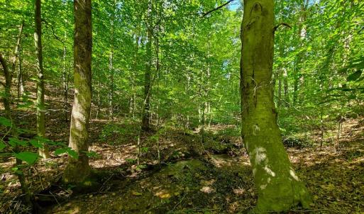 Photo #25 of SOLD property in 545 Trott Circle, Martinsville, VA 89.4 acres