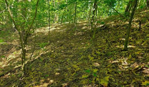 Photo #26 of SOLD property in 545 Trott Circle, Martinsville, VA 89.4 acres