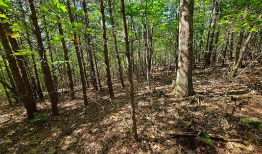 Photo #4 of SOLD property in 545 Trott Circle, Martinsville, VA 89.4 acres