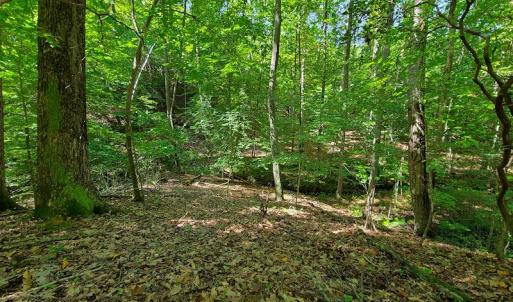 Photo #27 of SOLD property in 545 Trott Circle, Martinsville, VA 89.4 acres