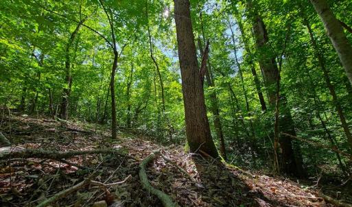 Photo #28 of SOLD property in 545 Trott Circle, Martinsville, VA 89.4 acres