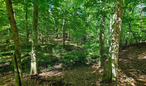 Photo #29 of SOLD property in 545 Trott Circle, Martinsville, VA 89.4 acres