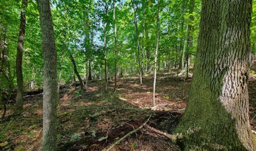 Photo #31 of SOLD property in 545 Trott Circle, Martinsville, VA 89.4 acres