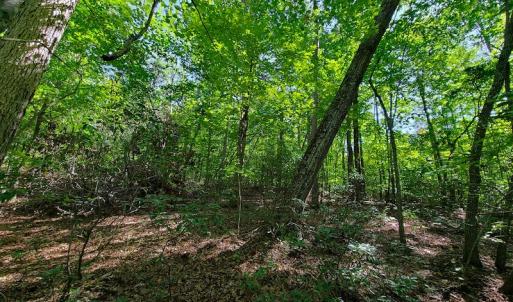 Photo #32 of SOLD property in 545 Trott Circle, Martinsville, VA 89.4 acres