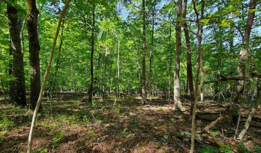 Photo #33 of SOLD property in 545 Trott Circle, Martinsville, VA 89.4 acres
