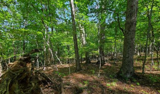 Photo #34 of SOLD property in 545 Trott Circle, Martinsville, VA 89.4 acres