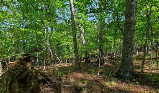 Photo #34 of SOLD property in 545 Trott Circle, Martinsville, VA 89.4 acres