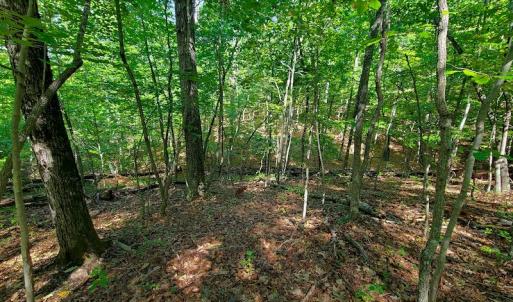 Photo #35 of SOLD property in 545 Trott Circle, Martinsville, VA 89.4 acres
