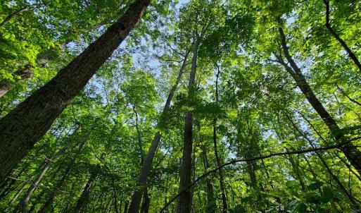 Photo #36 of SOLD property in 545 Trott Circle, Martinsville, VA 89.4 acres