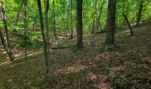 Photo #37 of SOLD property in 545 Trott Circle, Martinsville, VA 89.4 acres