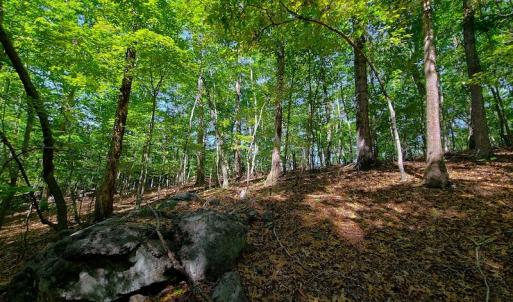Photo #38 of SOLD property in 545 Trott Circle, Martinsville, VA 89.4 acres