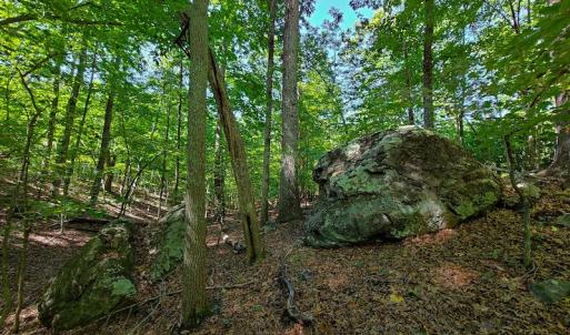 Photo #39 of SOLD property in 545 Trott Circle, Martinsville, VA 89.4 acres