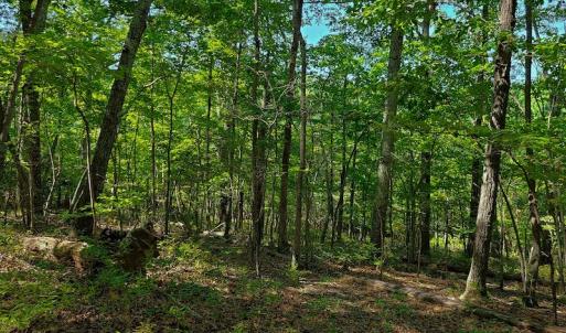 Photo #41 of SOLD property in 545 Trott Circle, Martinsville, VA 89.4 acres