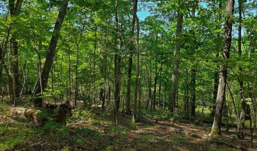 Photo #41 of SOLD property in 545 Trott Circle, Martinsville, VA 89.4 acres
