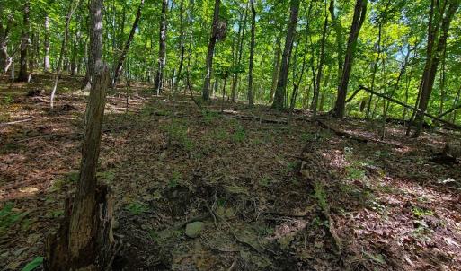 Photo #42 of SOLD property in 545 Trott Circle, Martinsville, VA 89.4 acres