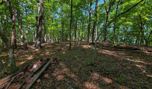 Photo #43 of SOLD property in 545 Trott Circle, Martinsville, VA 89.4 acres
