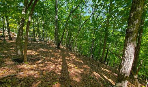 Photo #44 of SOLD property in 545 Trott Circle, Martinsville, VA 89.4 acres