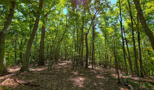 Photo #45 of SOLD property in 545 Trott Circle, Martinsville, VA 89.4 acres