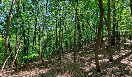 Photo #47 of SOLD property in 545 Trott Circle, Martinsville, VA 89.4 acres