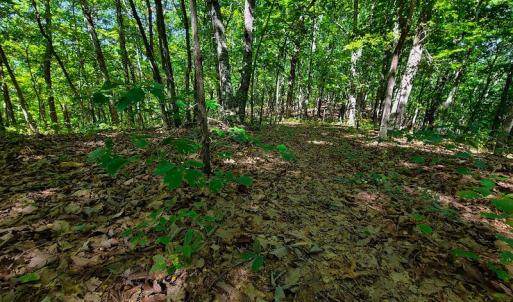 Photo #48 of SOLD property in 545 Trott Circle, Martinsville, VA 89.4 acres