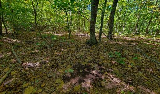Photo #49 of SOLD property in 545 Trott Circle, Martinsville, VA 89.4 acres