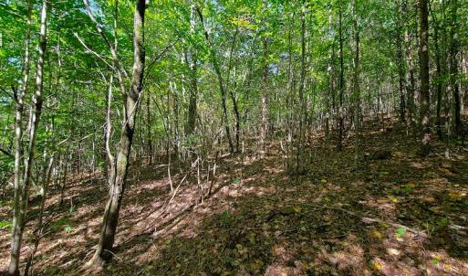 Photo #7 of SOLD property in 545 Trott Circle, Martinsville, VA 89.4 acres