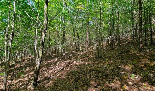Photo #7 of SOLD property in 545 Trott Circle, Martinsville, VA 89.4 acres