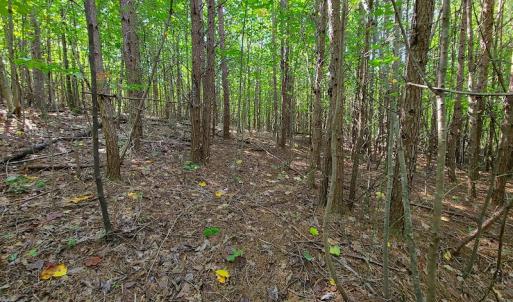 Photo #8 of SOLD property in 545 Trott Circle, Martinsville, VA 89.4 acres