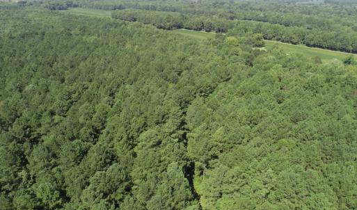 Photo #12 of Off Wyatt Road, Stony, VA 100.0 acres
