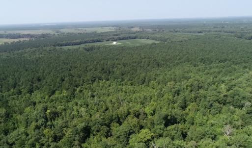Photo #13 of Off Wyatt Road, Stony, VA 100.0 acres