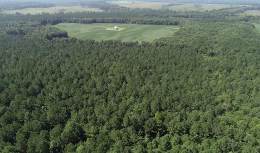 Photo #14 of Off Wyatt Road, Stony, VA 100.0 acres