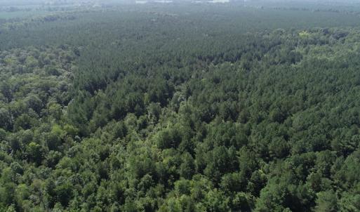 Photo #15 of Off Wyatt Road, Stony, VA 100.0 acres