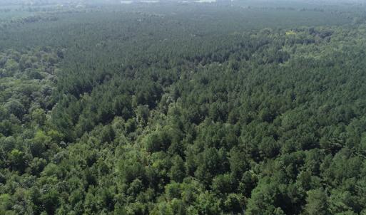 Photo #17 of Off Wyatt Road, Stony, VA 100.0 acres