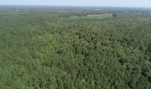 Photo #18 of Off Wyatt Road, Stony, VA 100.0 acres