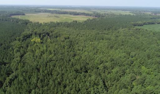 Photo #19 of Off Wyatt Road, Stony, VA 100.0 acres