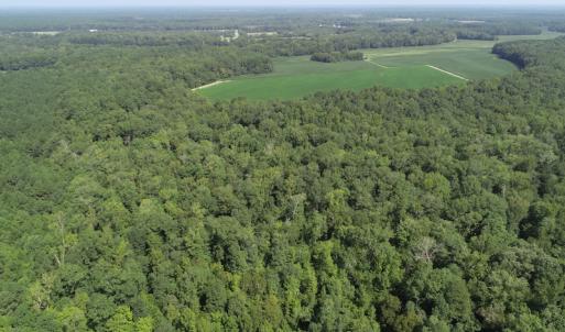 Photo #20 of Off Wyatt Road, Stony, VA 100.0 acres