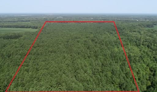 Photo #21 of Off Wyatt Road, Stony, VA 100.0 acres