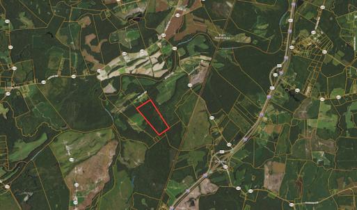 Photo #22 of Off Wyatt Road, Stony, VA 100.0 acres