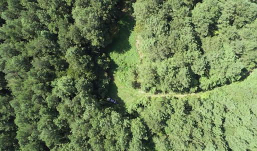 Photo #4 of Off Wyatt Road, Stony, VA 100.0 acres
