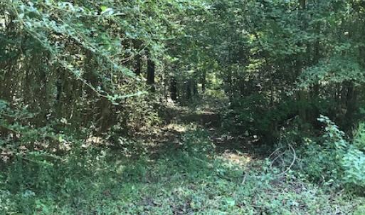 Photo #8 of Off Wyatt Road, Stony, VA 100.0 acres
