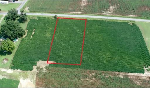 Photo #2 of Off Signpost Road, Courtland, VA 1.0 acres