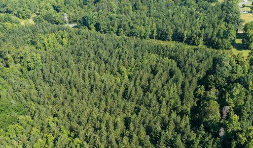 Photo #18 of SOLD property in Off Brook Cove Road, Walnut Cove, NC 42.9 acres